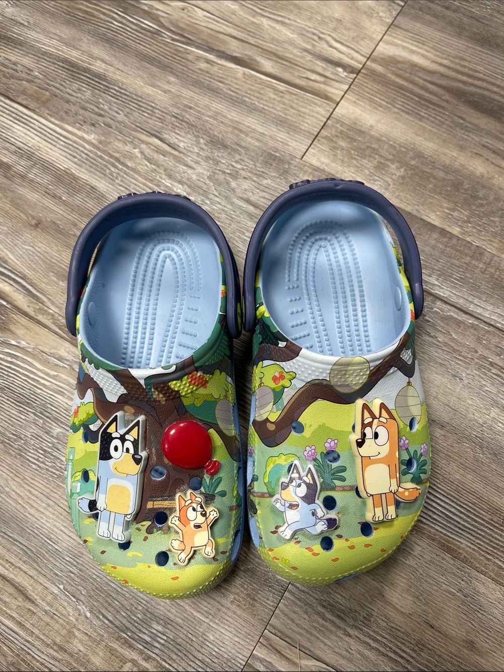 Bluey Slip-On Clogs